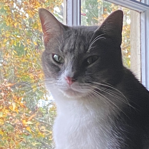 Meet your Posher, Meli! - Picture 3 of 13